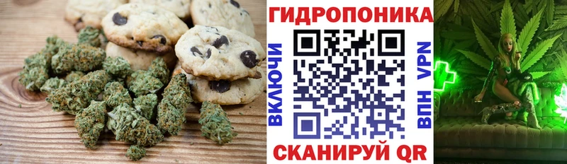 Cannafood конопля  Черняховск 