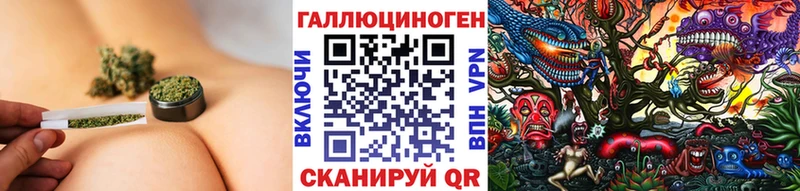 Псилоцибиновые грибы Psilocybine cubensis  Черняховск 