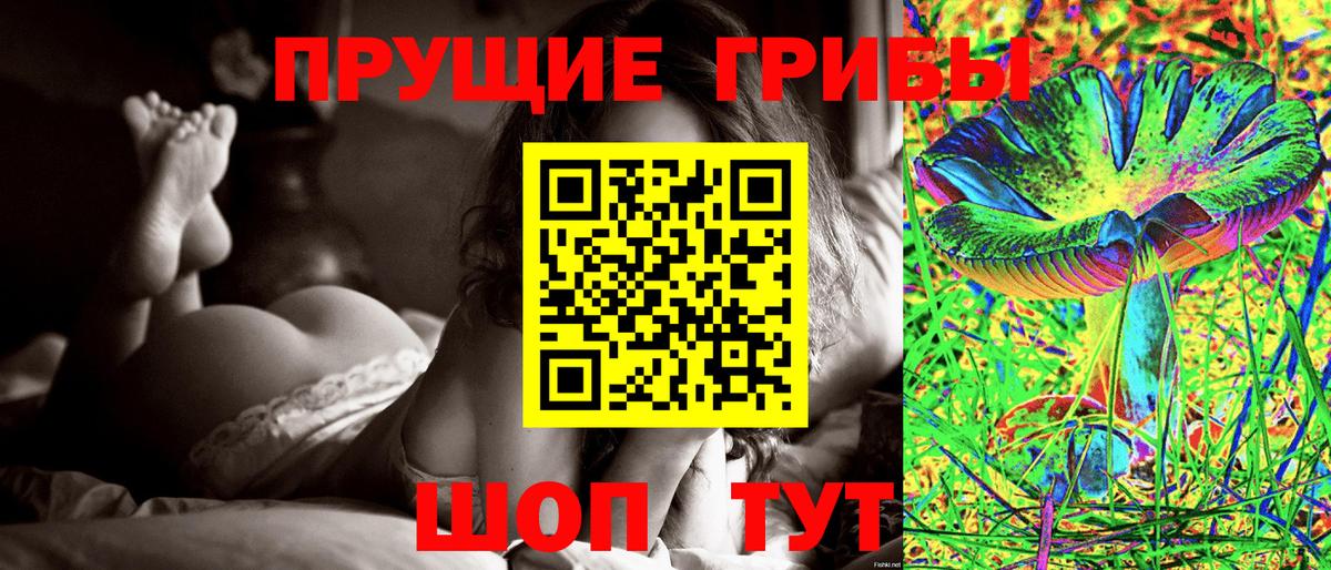 Псилоцибиновые грибы Psilocybe  Вход с VPN  Черняховск 